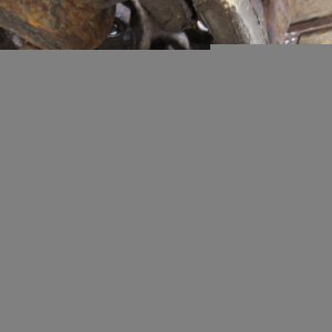 CAT 308ECR ★ Excavator ★ 450G, Arm Crane, Blade, A/C, M/L - Image 42